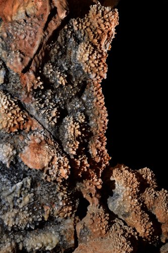 Grotte du Sud de l'Arizona (USA) - Paroi avec petits cristaux colorés par le fer (rouge) et le manganèse (gris)(SP-20-0238 )